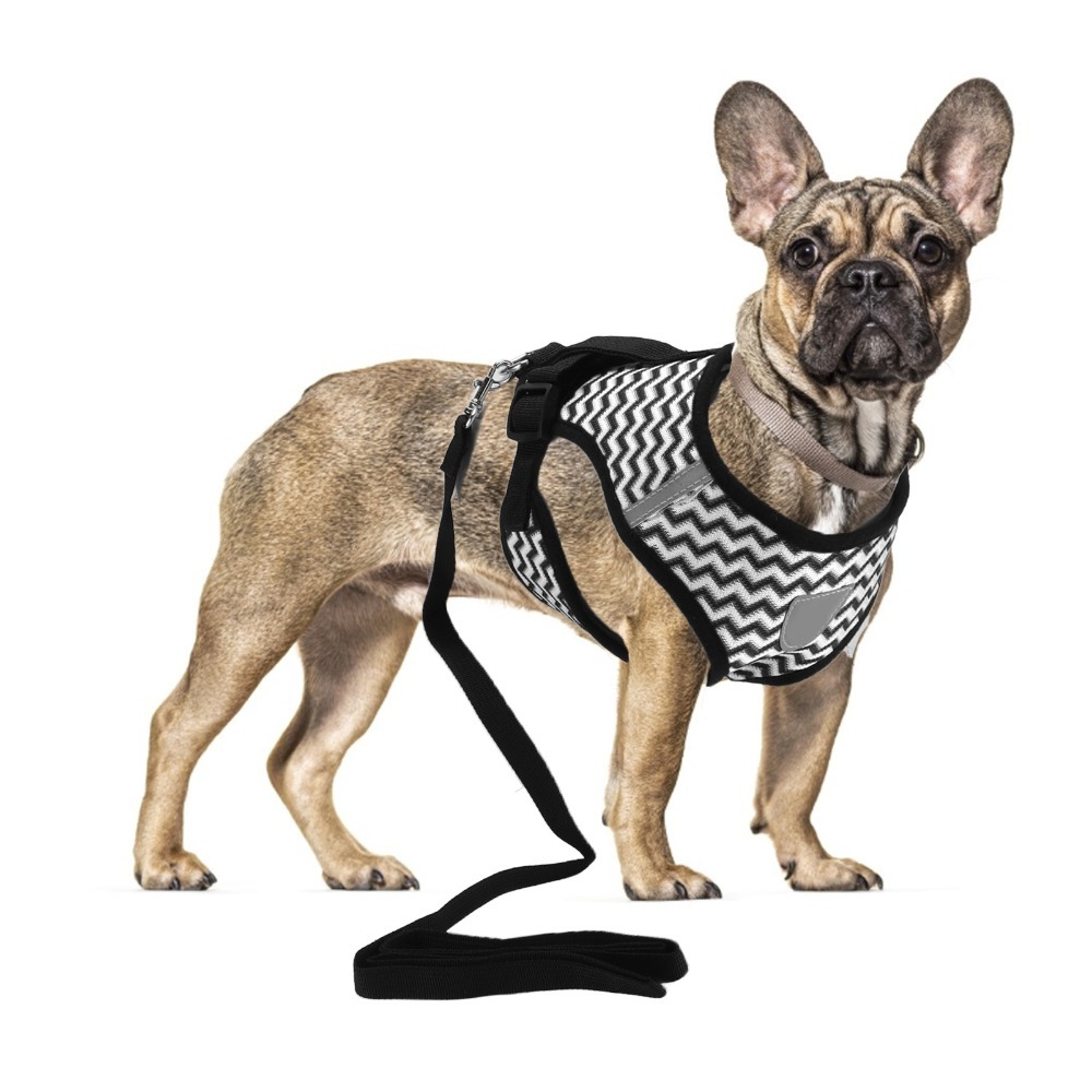 Set Harness Hewan Peliharaan B - Fabric Weight Set ulasan dan harga